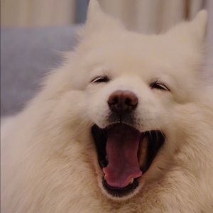 Meet your Posher, Xue